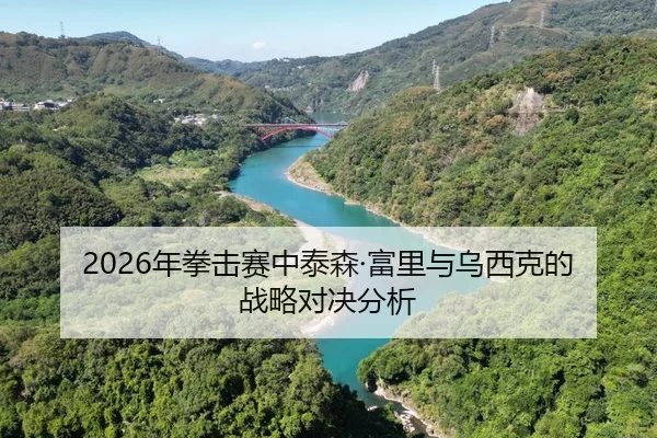 2026年拳击赛中泰森·富里与乌西克的战略对决分析