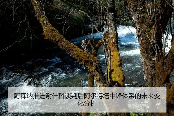 阿森纳推进谢什科谈判后阿尔特塔中锋体系的未来变化分析